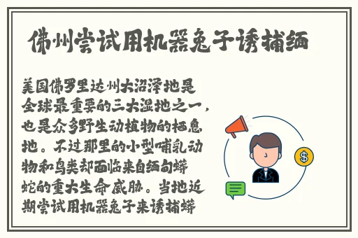 菠萝蜜一线二线三线品牌
